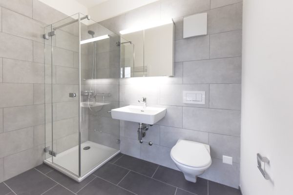 bathroom with toilet, shower and sink in an apartment